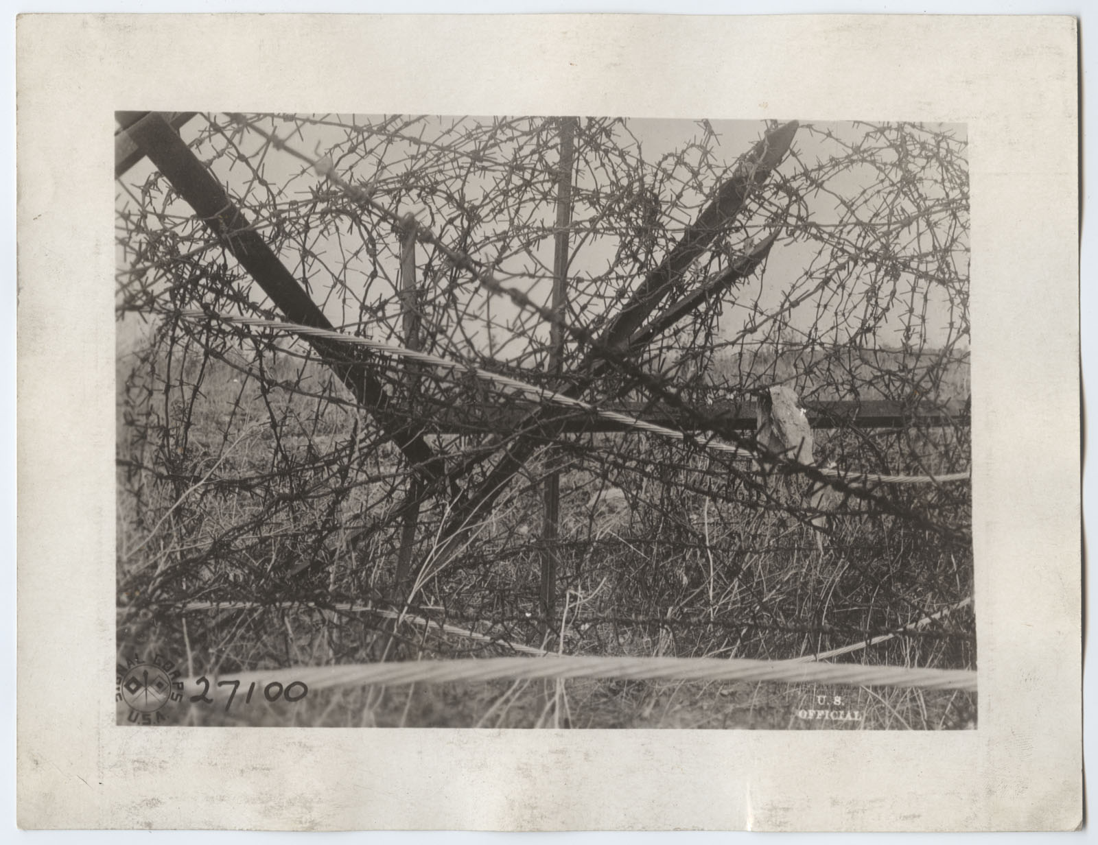 Black and white photograph of a thick tangle of barbed wire in a field