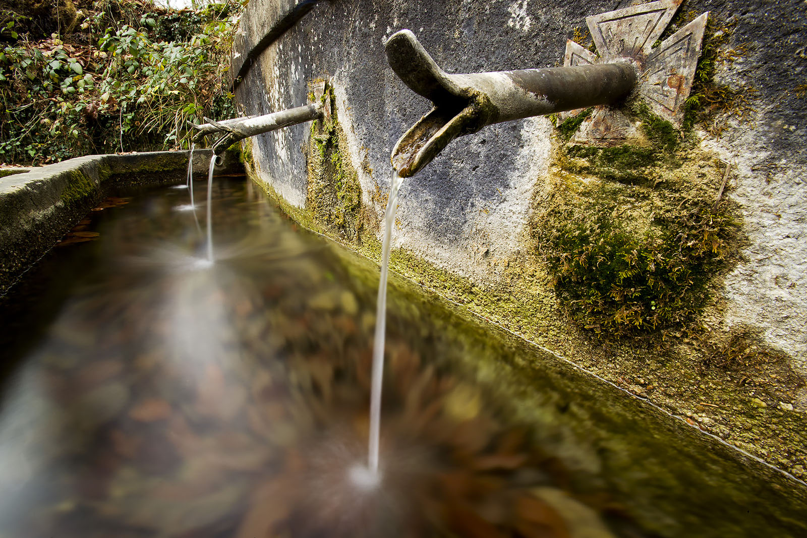 Modern photograph of a trough of water being fed by ornamented spouts. Moss covers the stone.