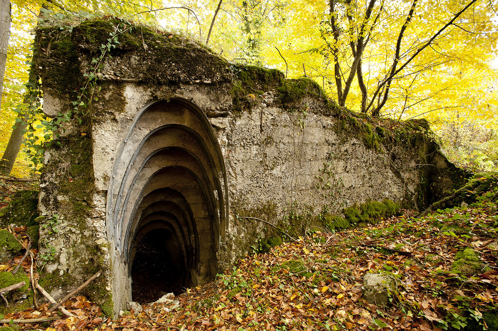 Modern photograph. A ruined wall with the semi-circular entrance to a bunker in it. The entrance is finely constructed as a series of concentric semi-circles leading underground.