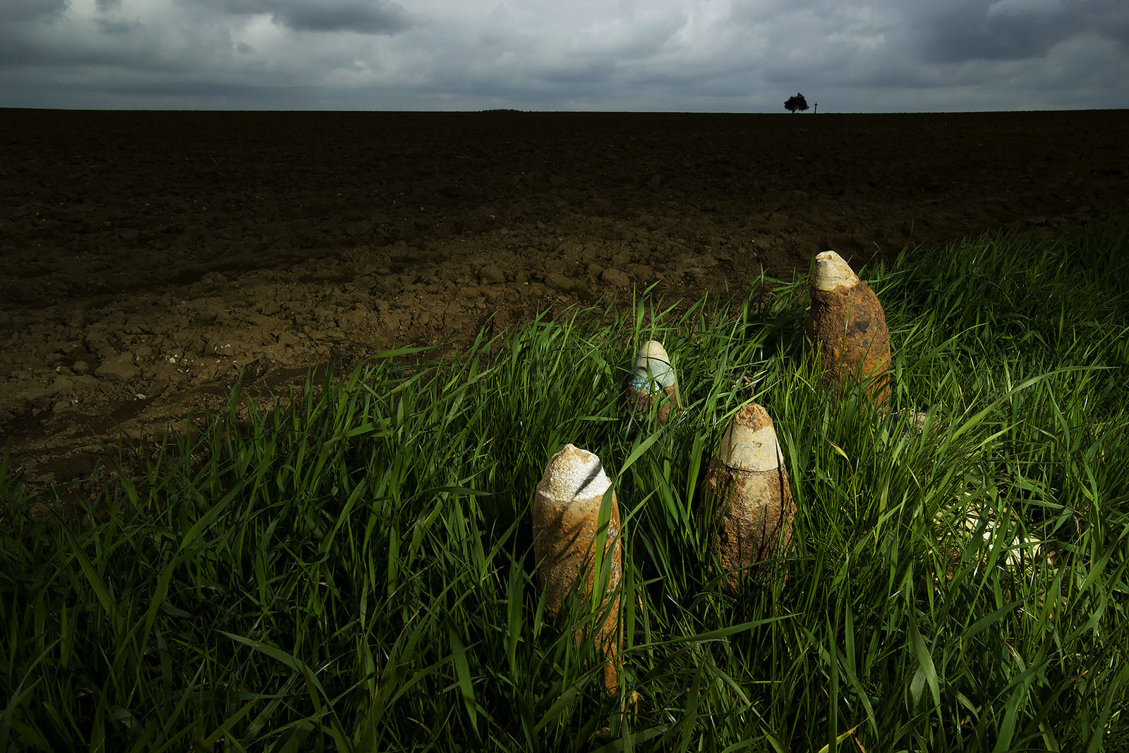 Modern photograph of the border between a field of grass and a field of dirt. WWI-era shells are lying in the grass.