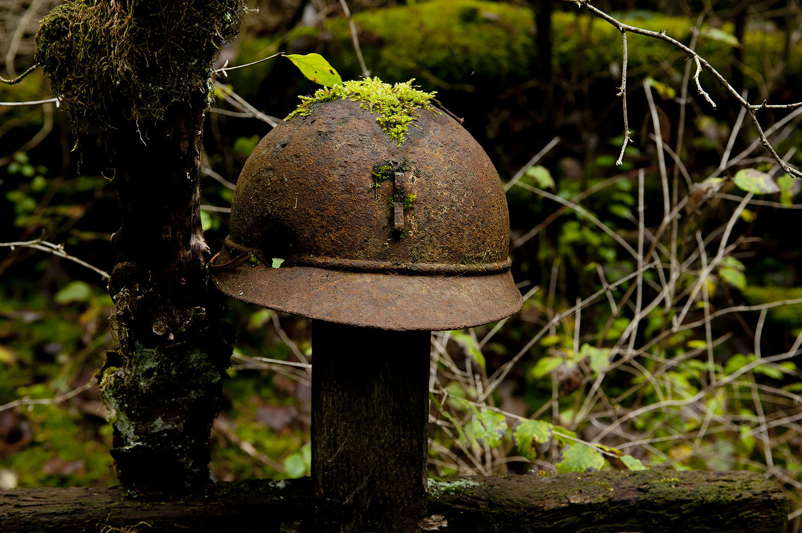 Modern photograph of a simple wood grave marker topped with a rusting helmet. Greenery surrounds the marker and moss grows on the helmet.