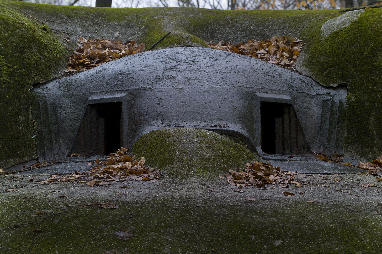 Modern photograph of the outside of a bunker set into a hill. There are two angled entrances into the bunker.