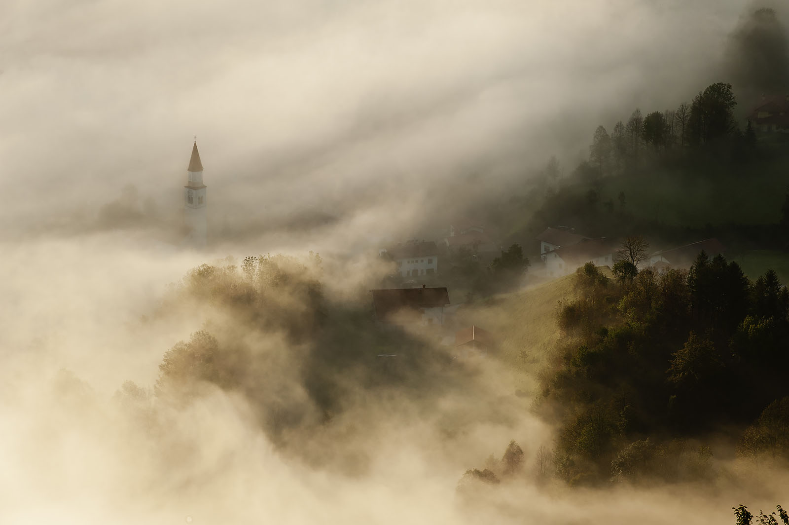 Modern photograph. A wooded valley area flooded with fog. Quaint houses and a clock tower emerge from the fog.