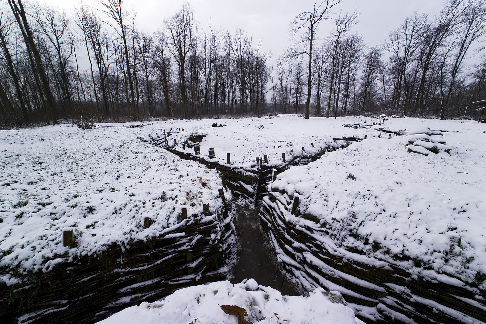 Modern photograph. An X-shaped trench carves through a snowy field with barren trees in the background.