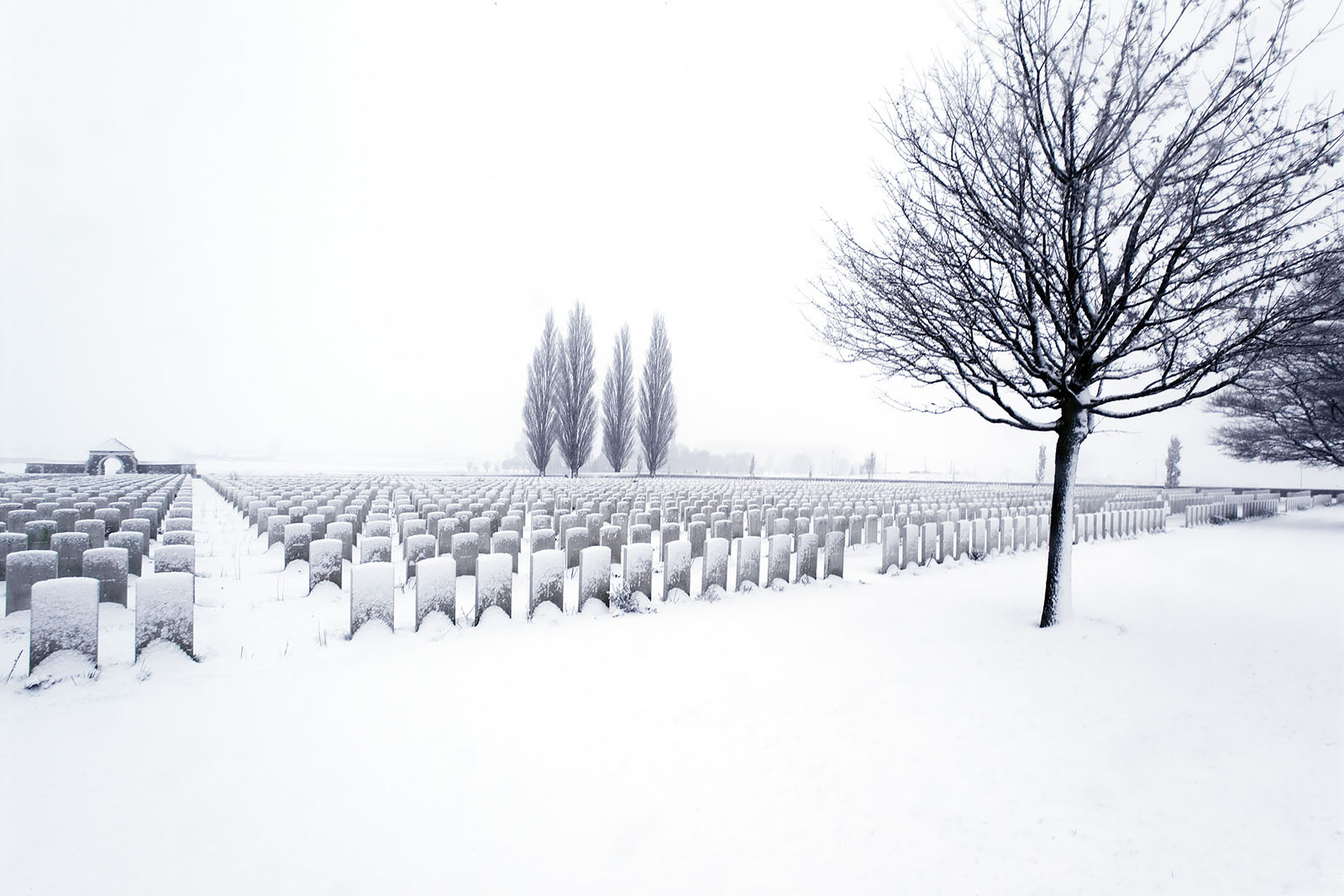 Modern photograph of a snowy field with a few trees scattered in it. Rows of rectangular grave markers stretch away into the distance.