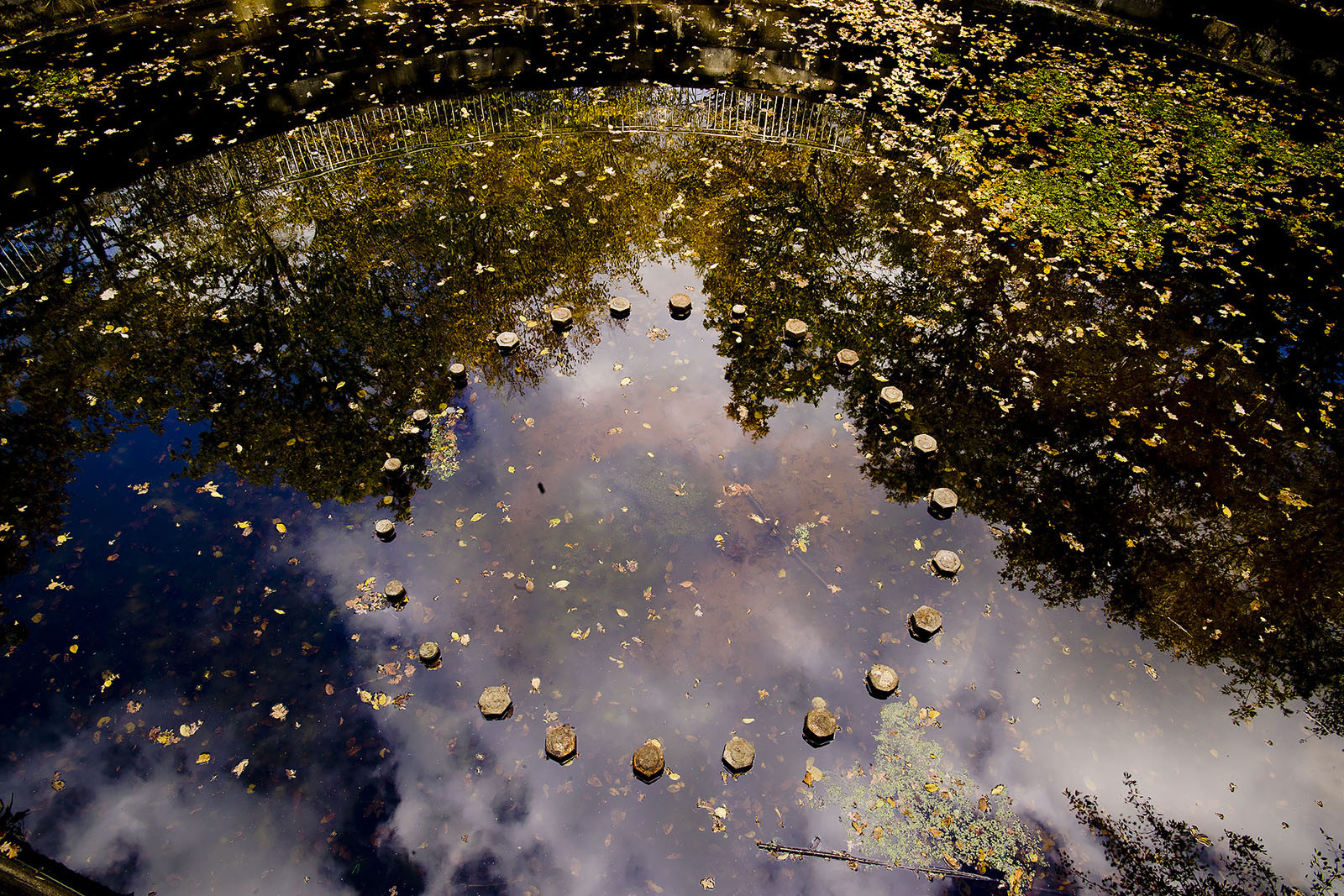 Modern photograph of a pool of water. A circle of huge metal bolts sticks out of the water.