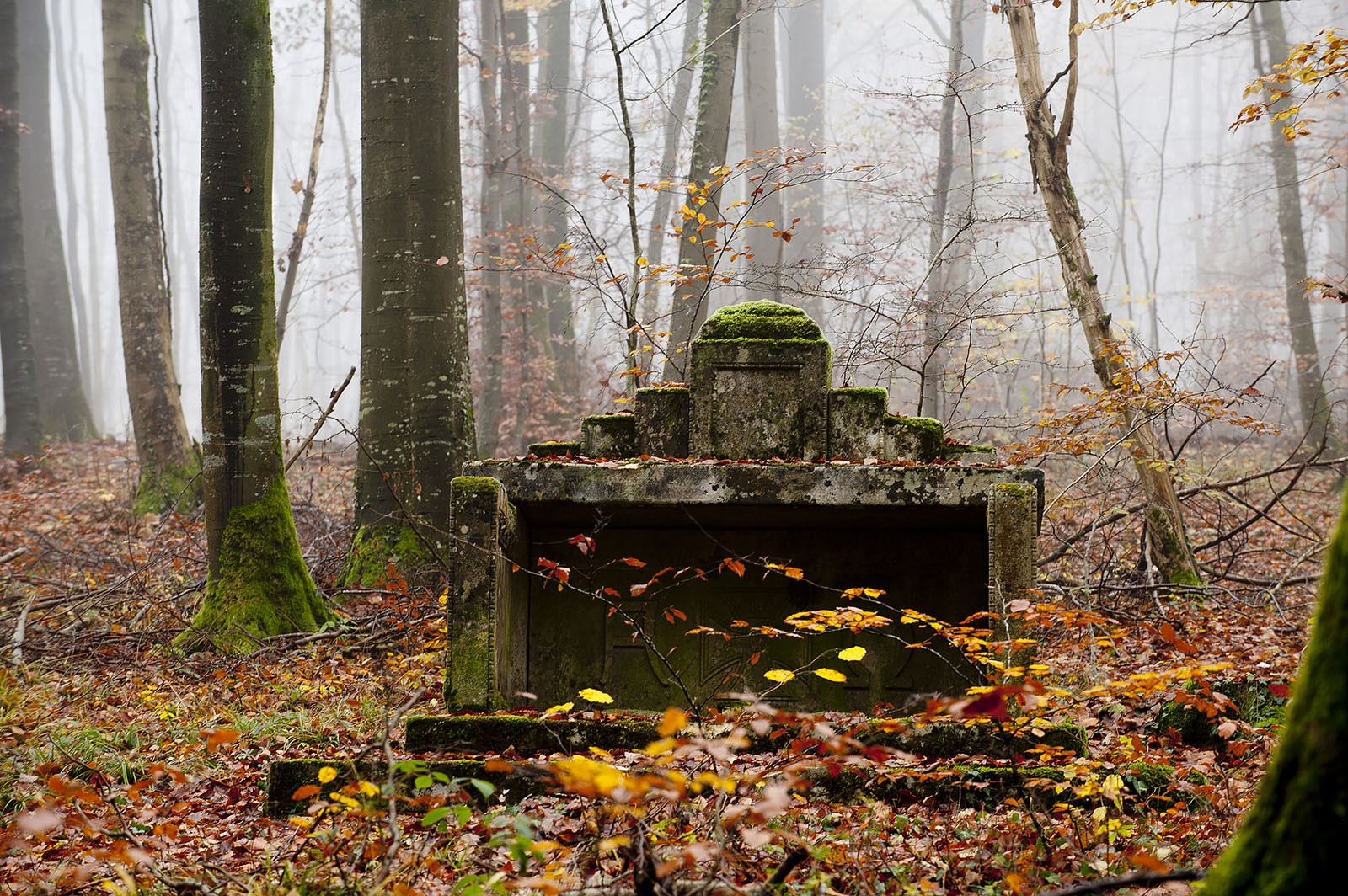 Modern photograph of a wooded area carpeted with red, brown and gold leaves. A stone monument covered in lichen and moss sits in the middle.
