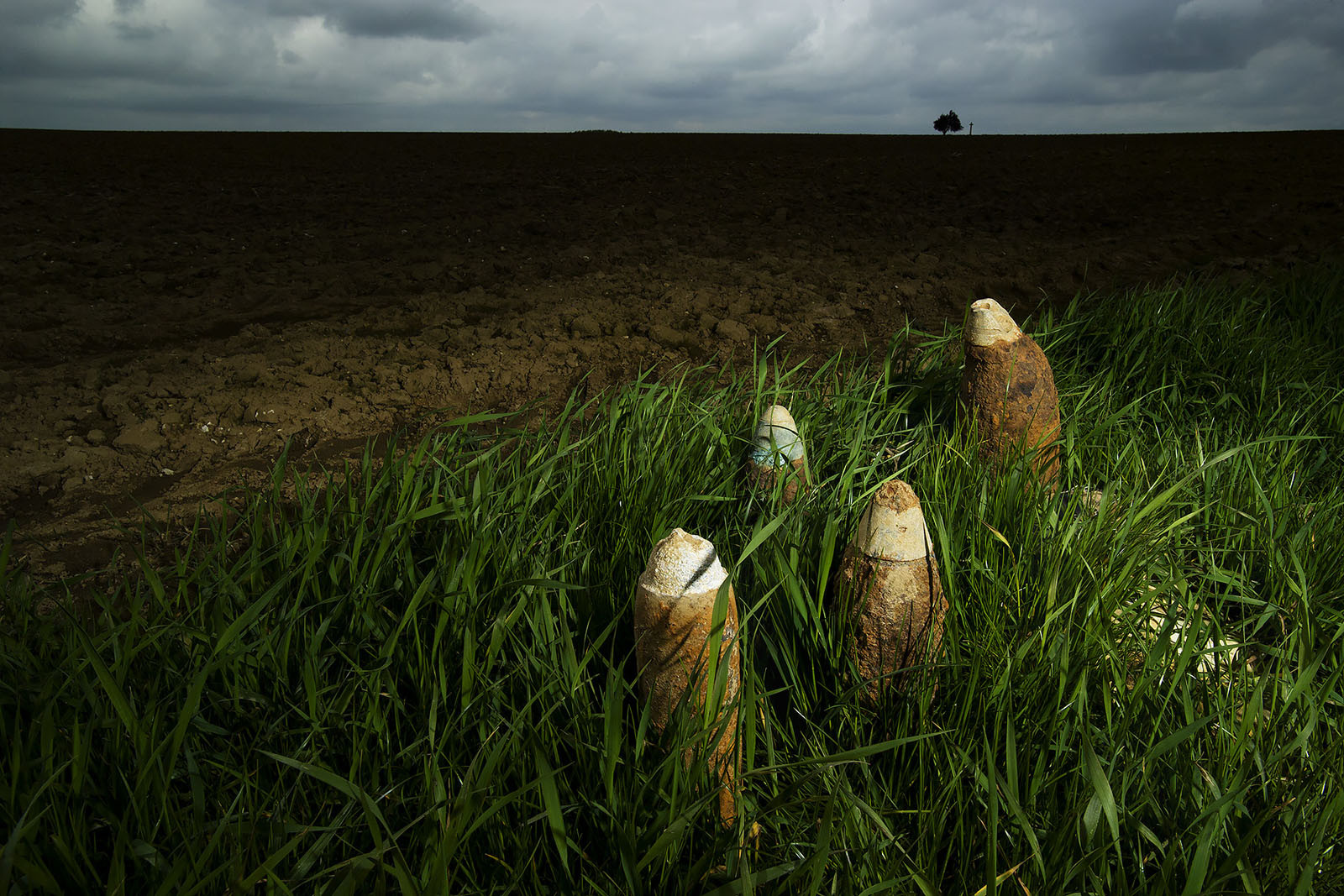 Modern photograph of the border between a field of grass and a field of dirt. WWI-era shells are lying in the grass.