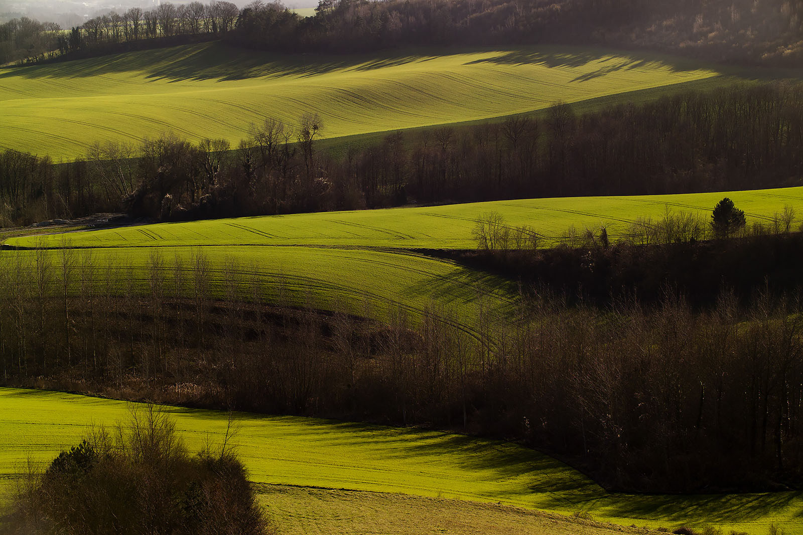 Modern photograph of a green swathe of fields with patches of trees interspersed.